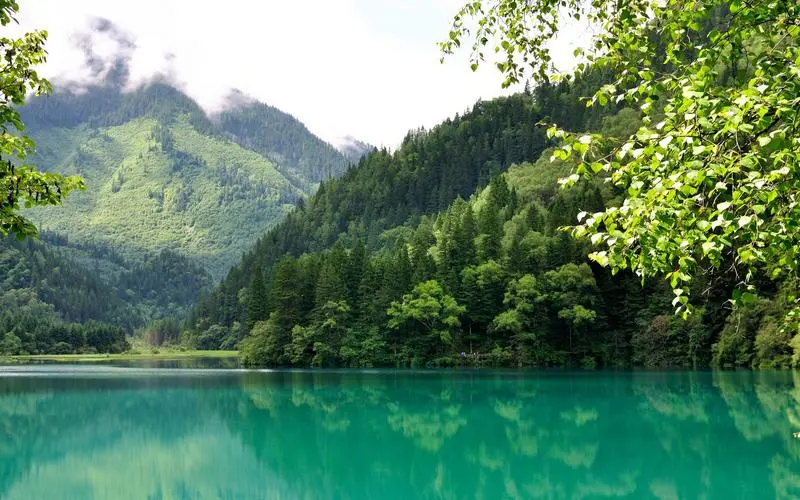 创新可靠性